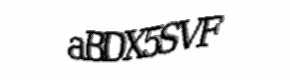 Security check image, please type the characters shown