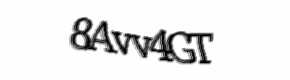 Security check image, please type the characters shown