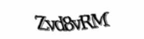 Security check image, please type the characters shown
