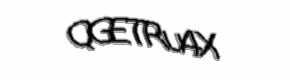 Security check image, please type the characters shown